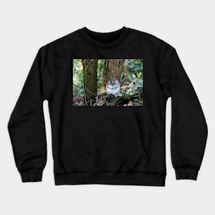 Please Sir Can I Have Some More? Crewneck Sweatshirt